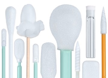 Conservation Tool Spotlight: Silicone Brushes
